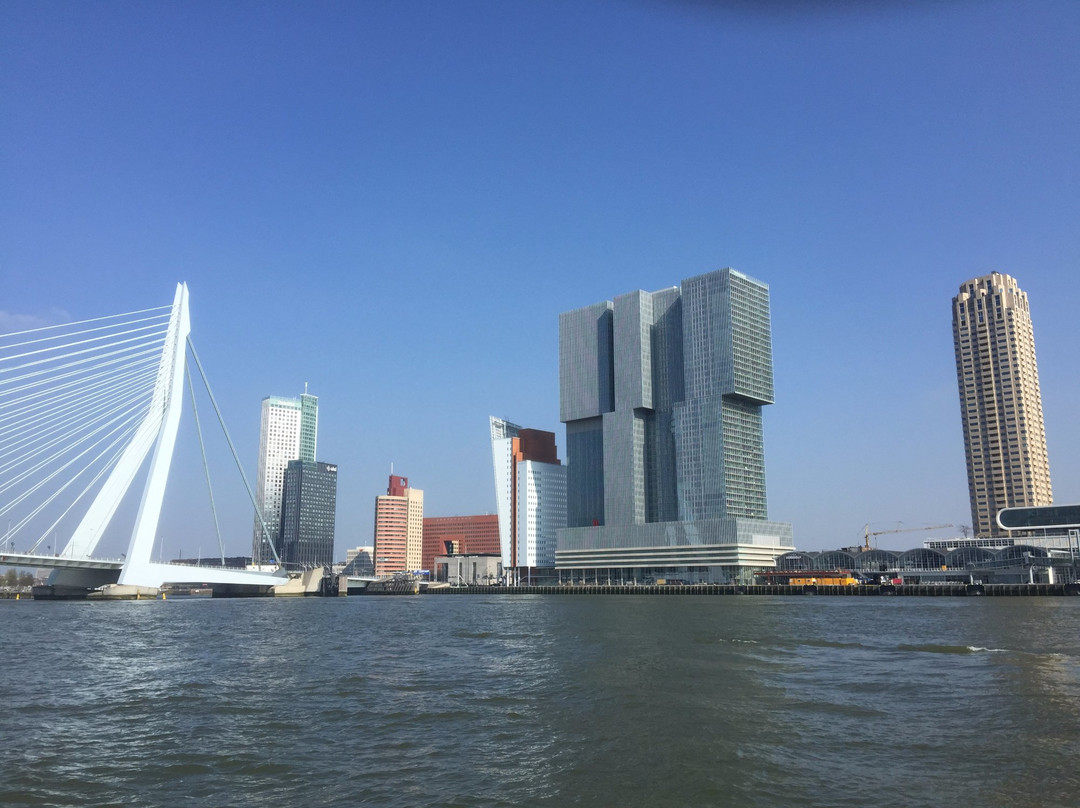 De Rotterdam景点图片
