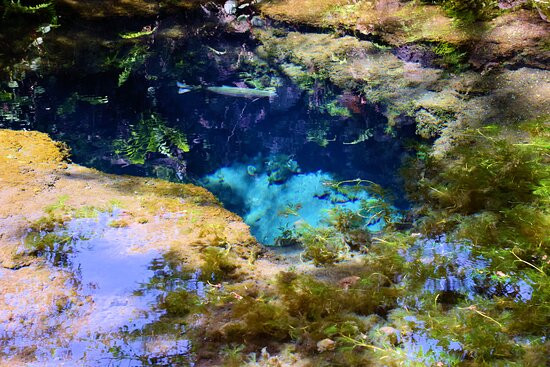 Okama Pond景点图片