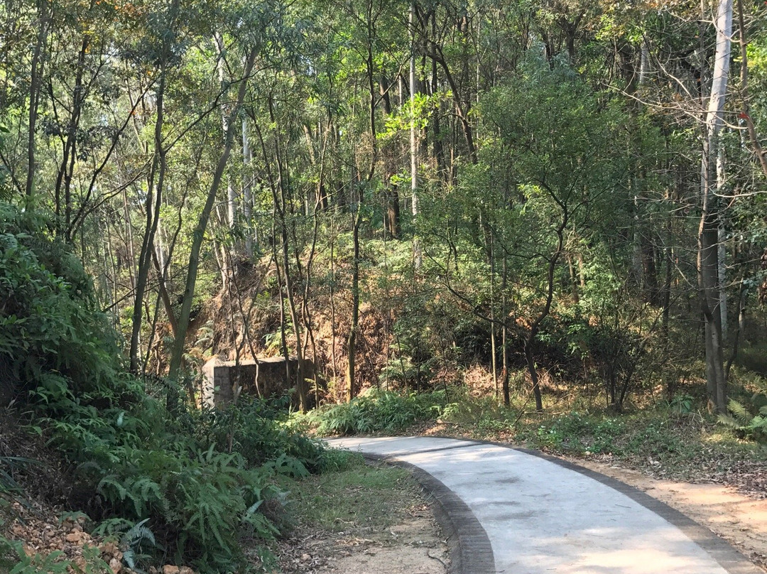 同沙水库