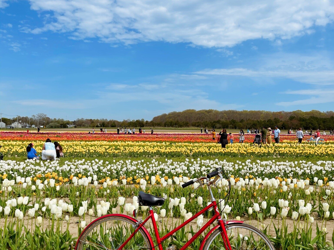 Waterdrinkers Family Farm景点图片