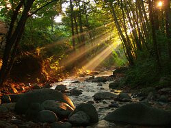 Hotel Montsoliu主图