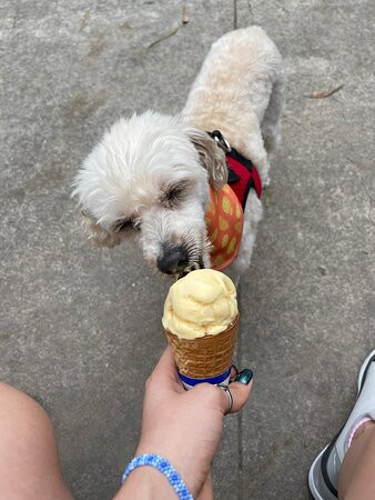 Parque La Loma-Tepic必去景点