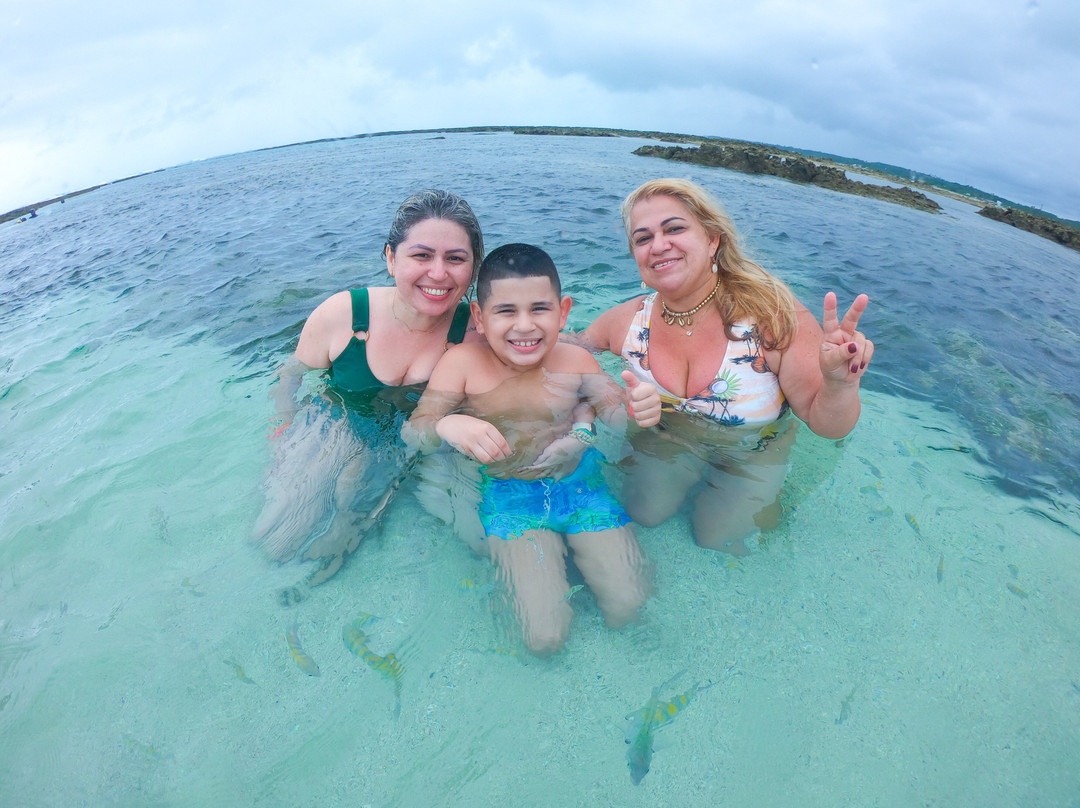 Sergio Tour Alagoas, Passeio Turístico Maceió-Maceio必去景点