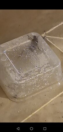 梳邦帝盛君豪酒店主图