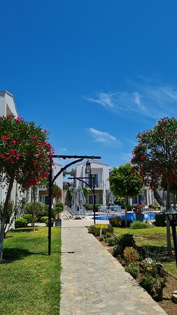 Kalina Otel-官方