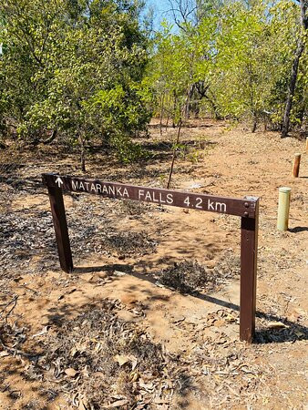 Mataranka Falls-Mataranka必去景点
