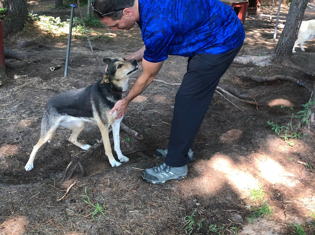 Husky Haven Kennels-Shingleton必去景点