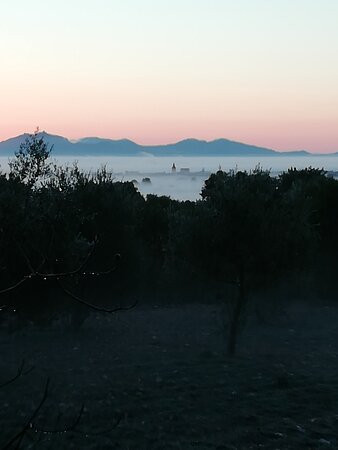 Finca Son Jorbo主图