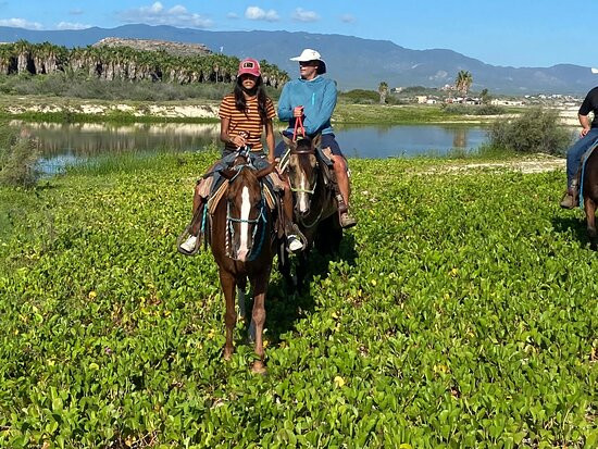 Cuadra San Alberto-Los Barriles必去景点