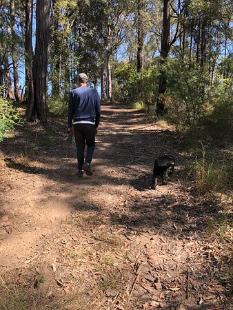 Olympic Drive Lookout-Blaxland必去景点