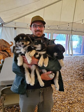 Trail Breaker Kennel-费尔班克斯必去景点