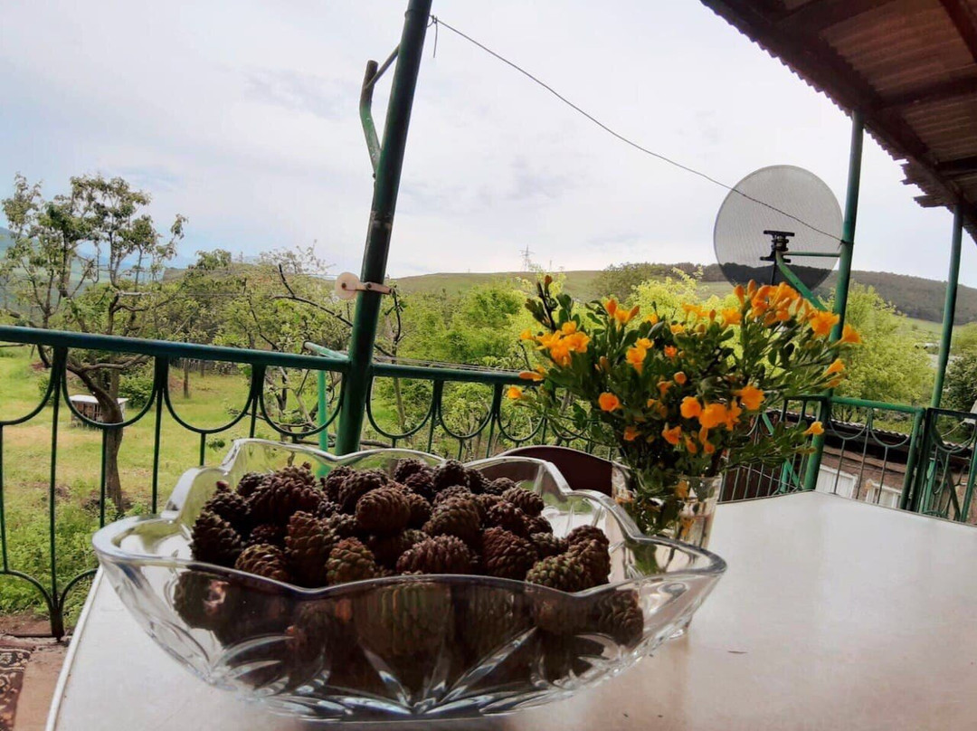 Tsater Guest House