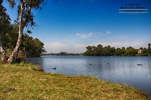 Lakeview Boutique Hotel & Conference Center主图