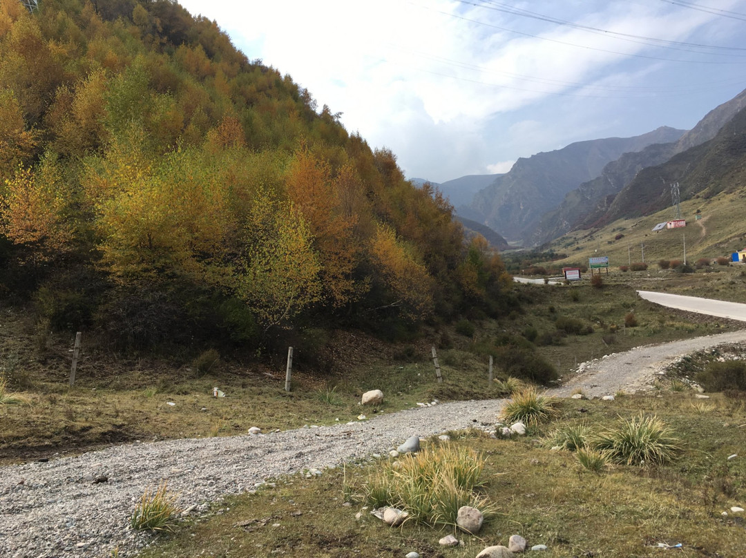 大通回族土族自治县旅游攻略图片