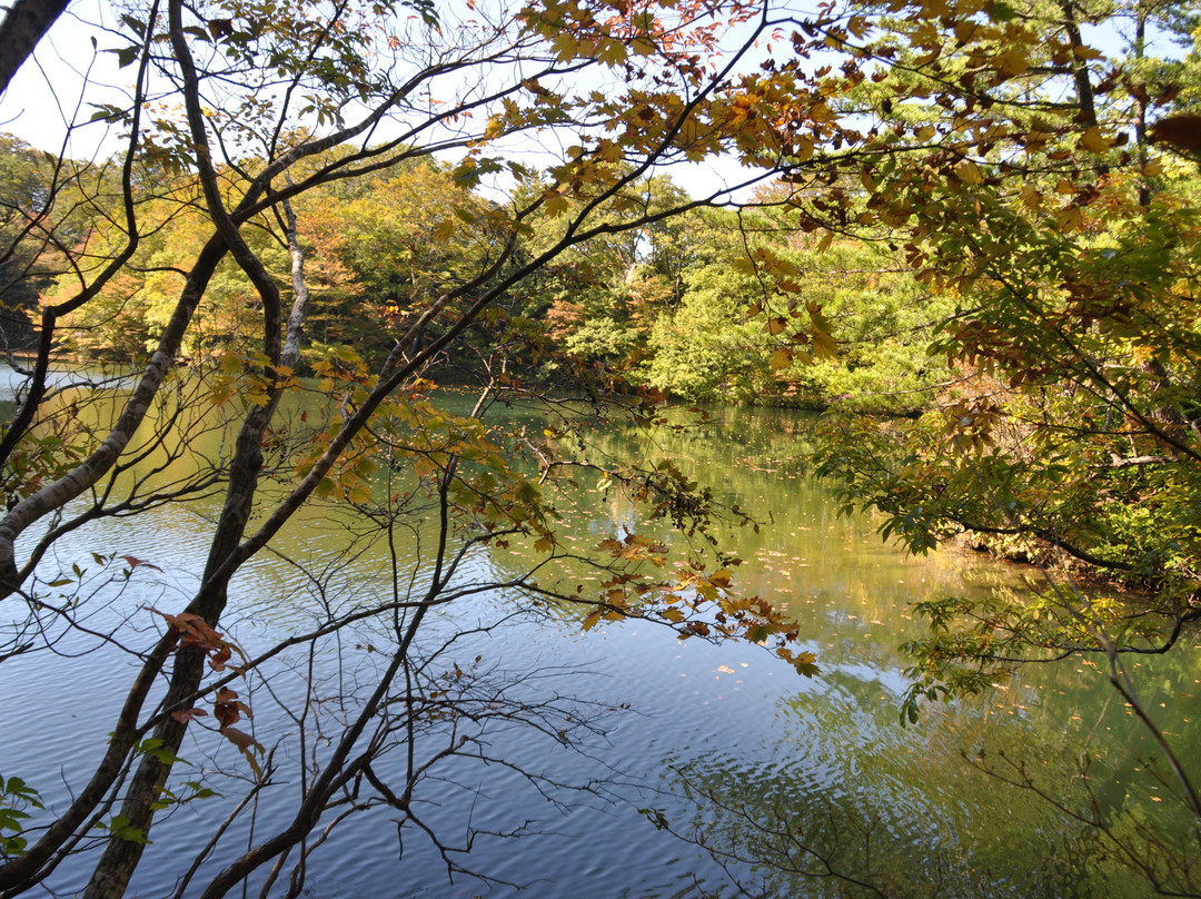 Blue Pond景点图片