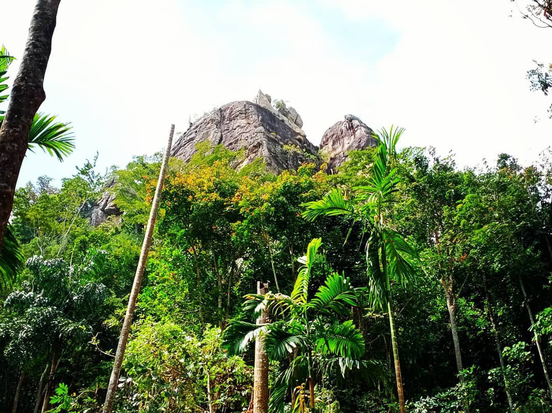 Uthuwankanda Mountain景点图片