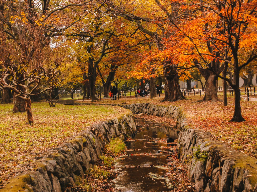 Gyerim Forest
