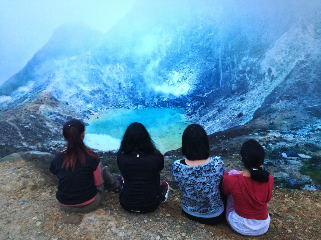 Junglebooked Adventure