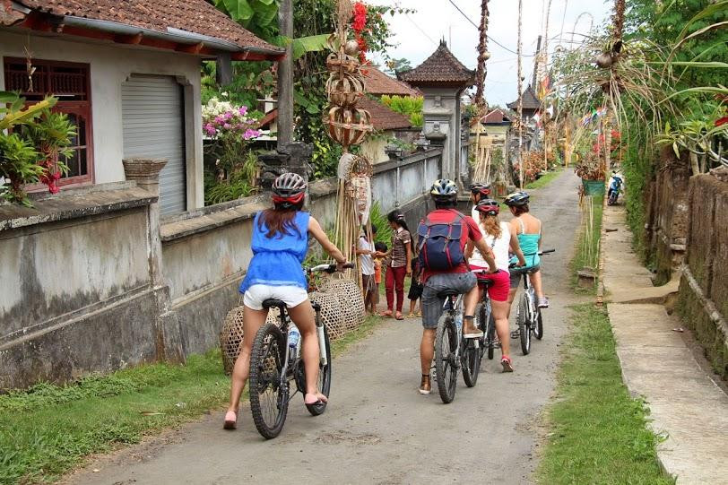 巴厘乡村自行车游景点图片