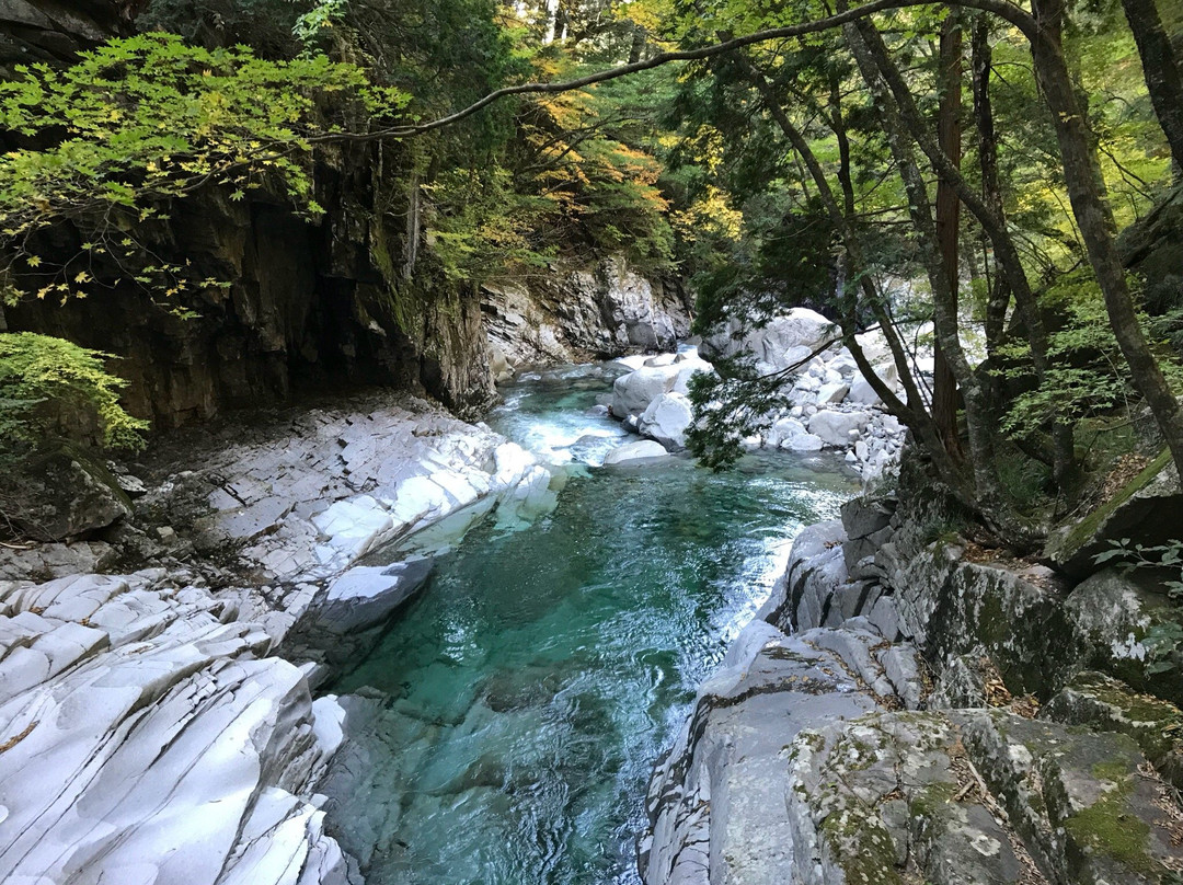 爱媛县旅游攻略图片