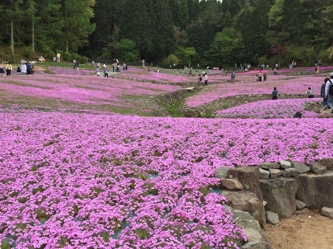 三田市旅游攻略图片