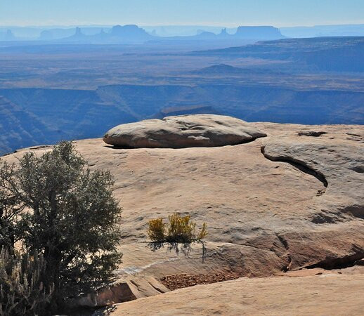 Muley Point Overlook景点图片