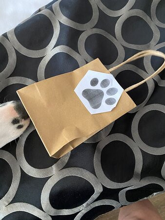 阿德莱德路汽车旅馆主图