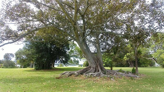 Killarney Park景点图片