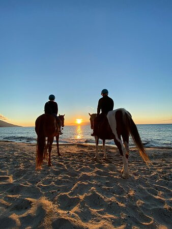 Kardamena Horse Riding Center-卡达米那必去景点