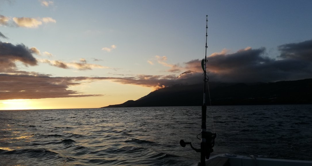 Pico Sport Fishing MT 03/2011-Lajes do Pico必去景点