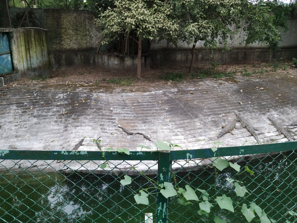 Indore Zoo景点图片
