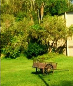 Centro Marista Sao Jose Das Paineiras主图