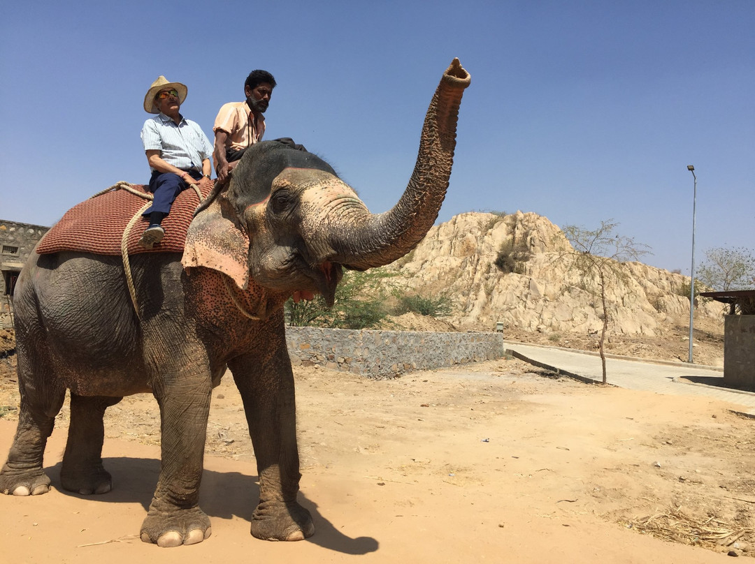 Hathi Gaon Elephant Village景点图片