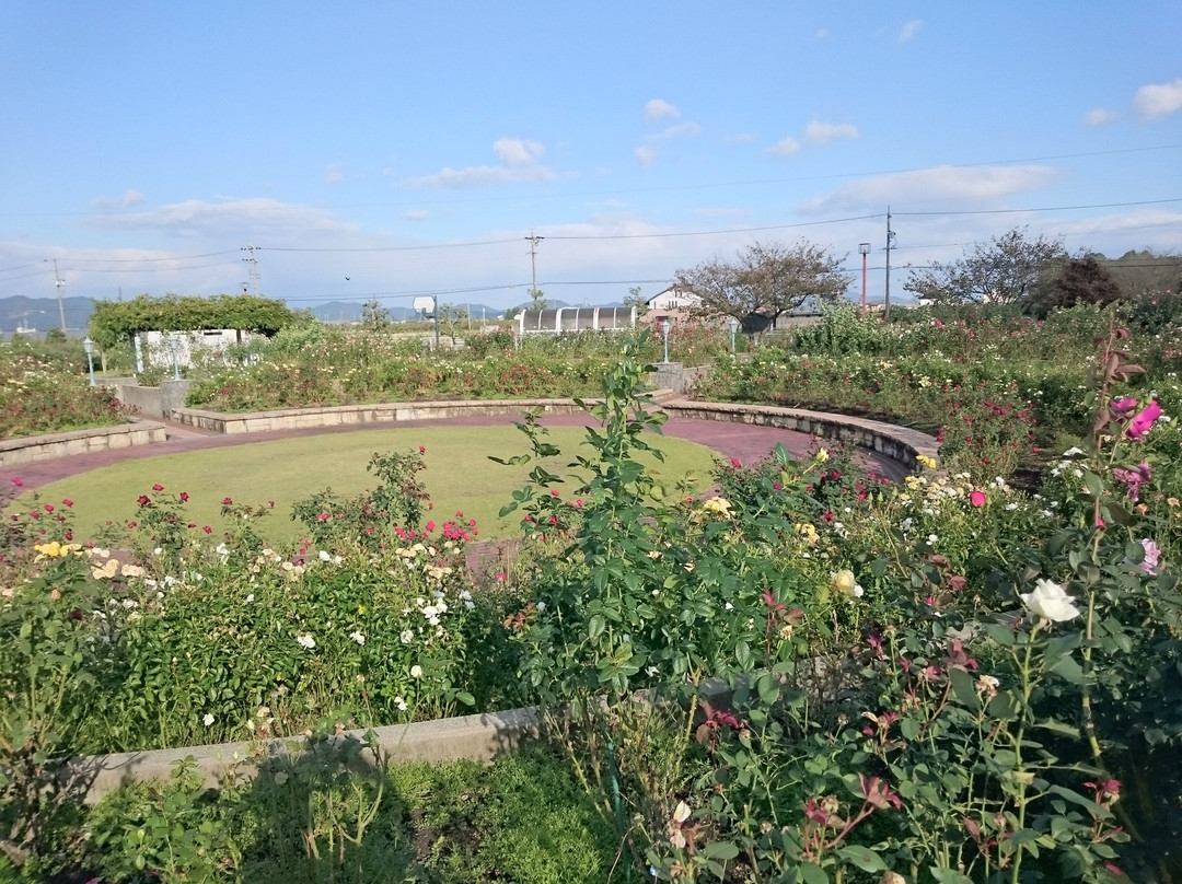 小野町旅游景点-Onocho Rose Park