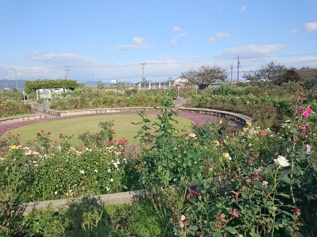 Onocho Rose Park景点图片