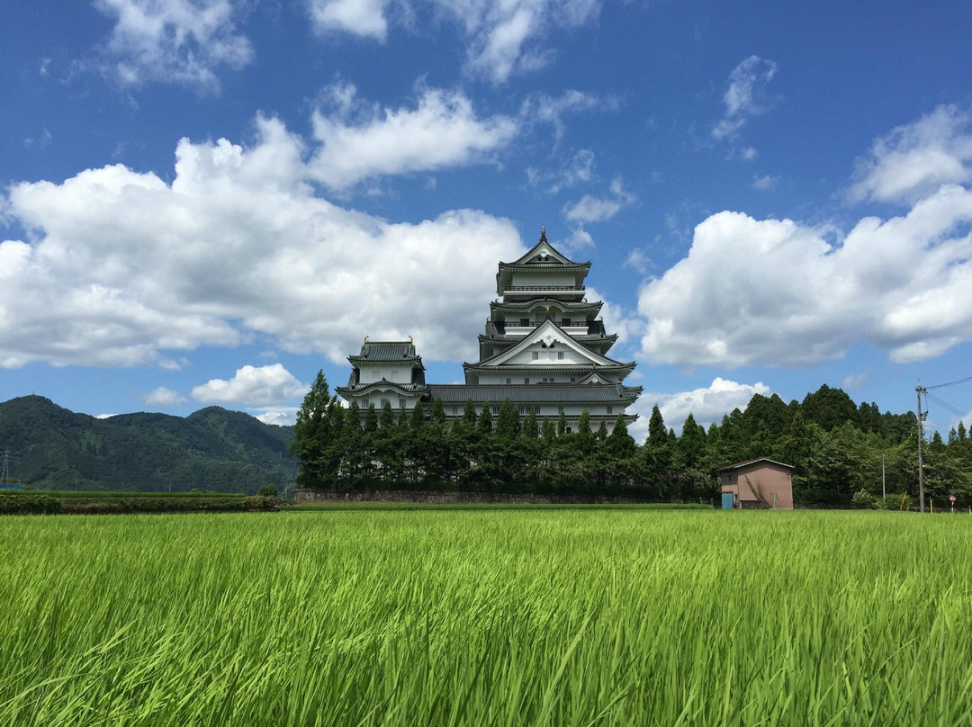 Katsuyama Castle Museum景点图片