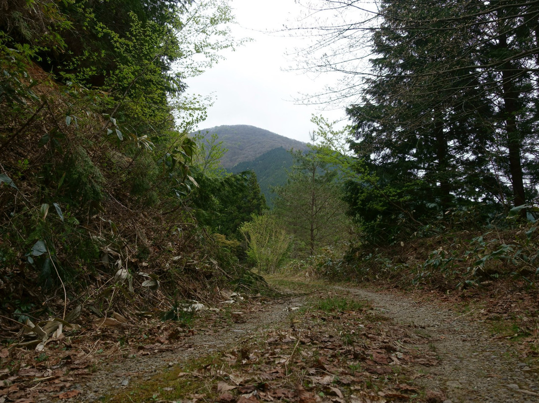 Mt. Araregayama景点图片
