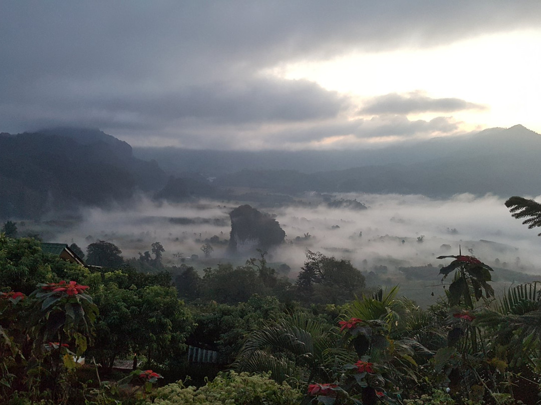 Phu Langka Forest Park景点图片