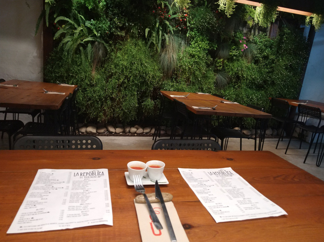 La Republica De Burinons