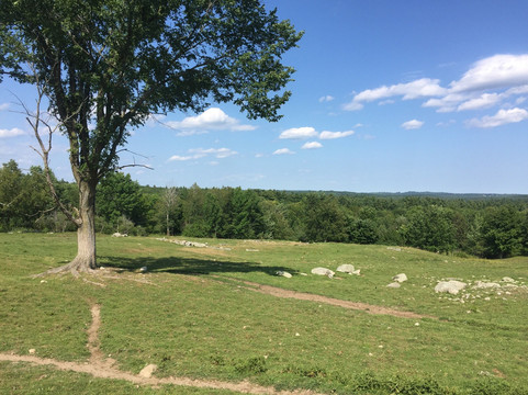 New Gloucester旅游攻略图片