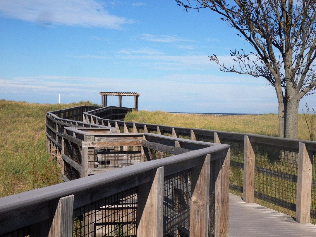 Plum Island旅游攻略图片