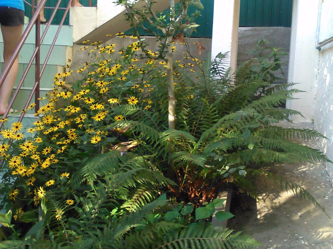 Lazurny Bereg Guest House