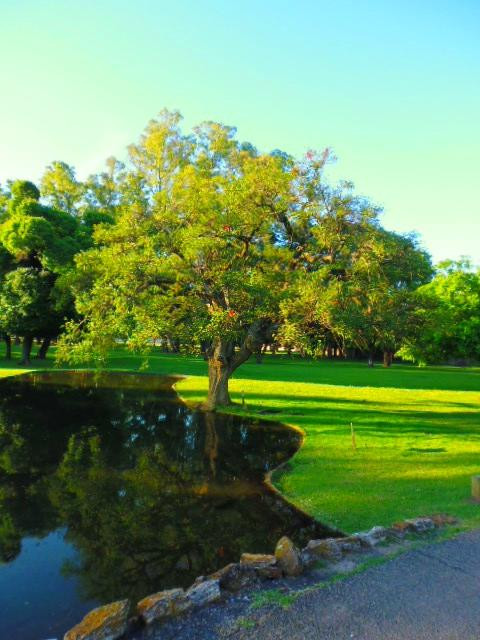 San Vicente旅游攻略图片