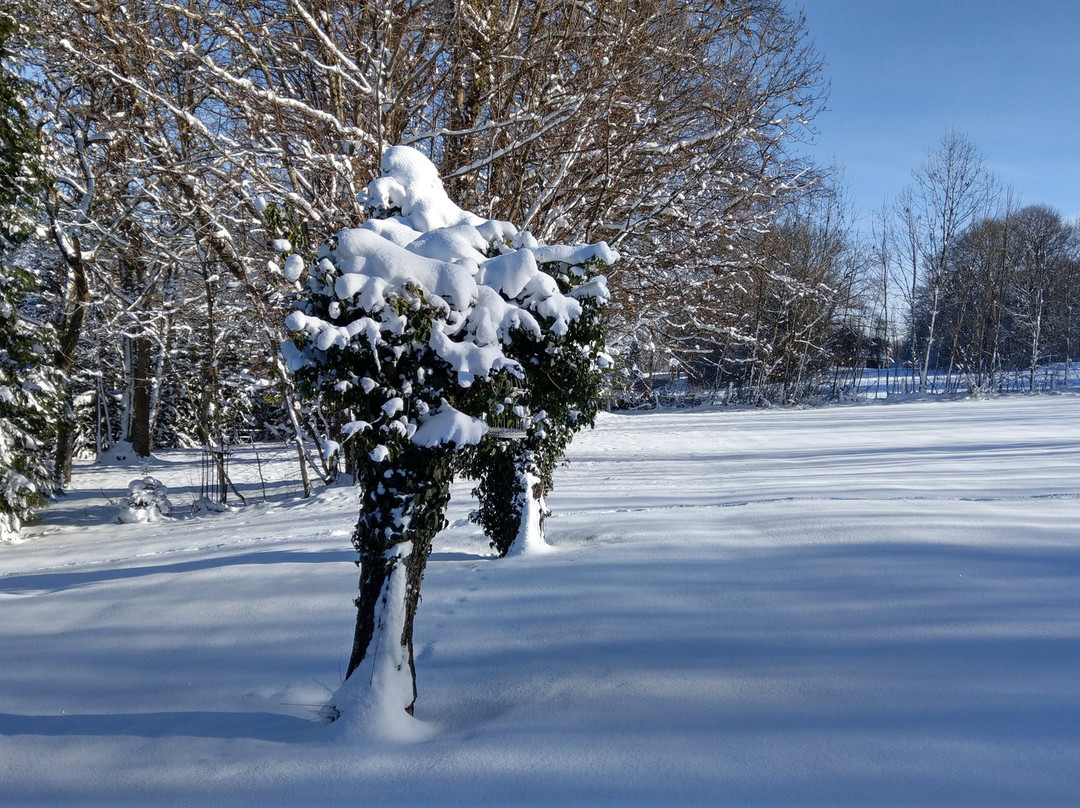 Champanges旅游攻略图片