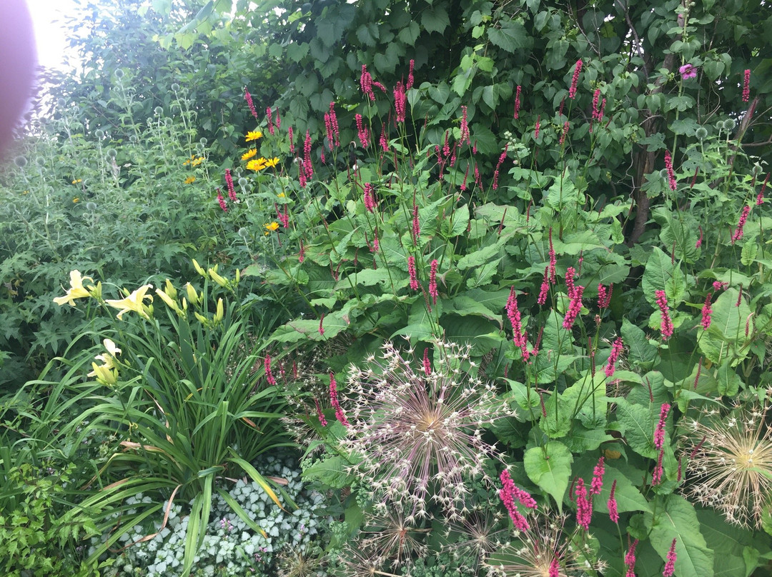 Carpe Diem Gardens-Clarksburg必去景点