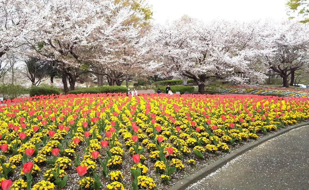Omiya Hana no Oka Norin Park