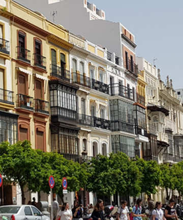 Plaza de San Francisco景点门票图片