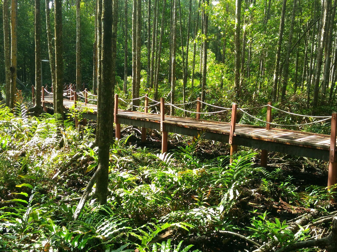 Matang Mangrove Forest Reserve-Kuala Sepetang必去景点