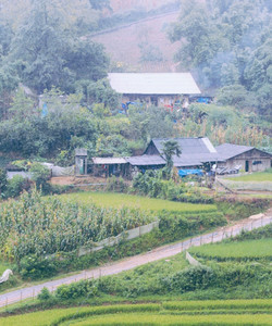 Terraced Rice Fields in Shin Chai Village景点门票图片