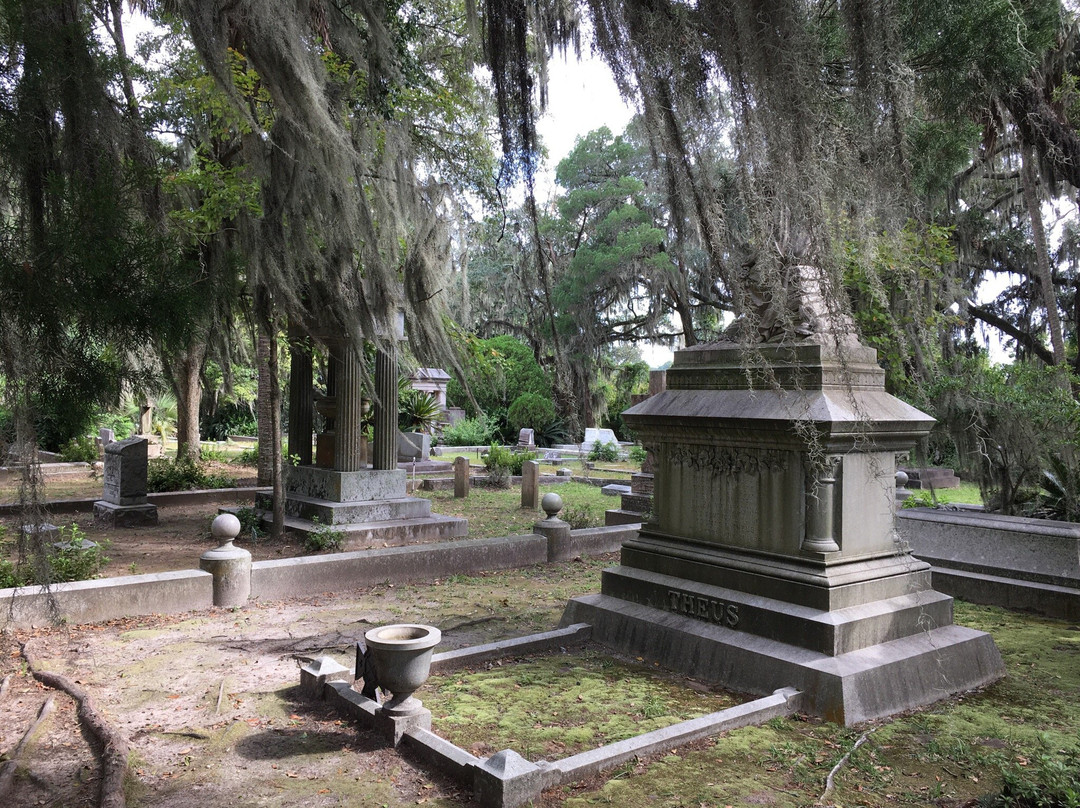 Shannon Scott Tours-萨凡纳必去景点